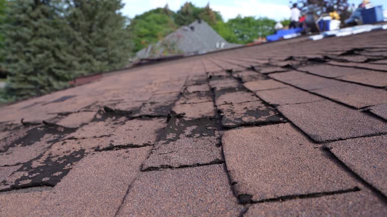 Hot Roofs in Salt Creek Commons, IN